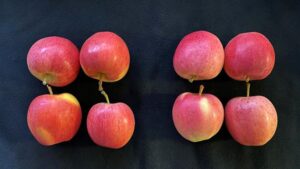 More Exemptions Being Proposed for Gene-Edited Crops