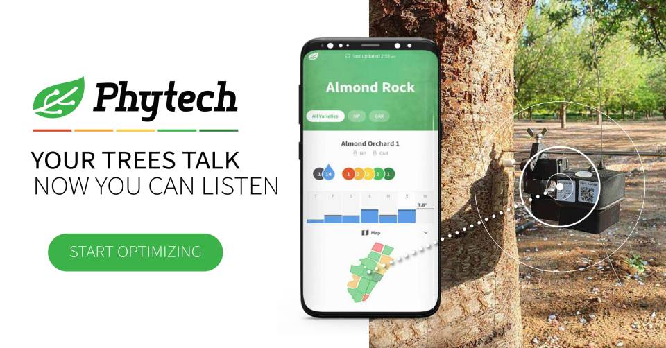 Phytech