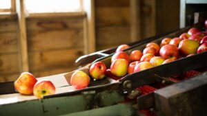 Growth Out of the Pandemic: Bellewood Farms Pivots for Pome Fruit