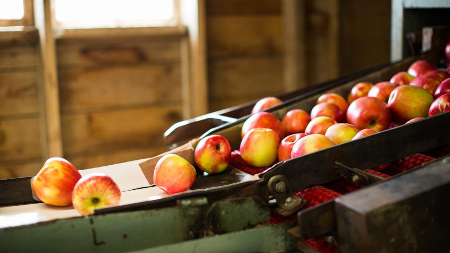 Growth Out of the Pandemic: Bellewood Farms Pivots for Pome Fruit