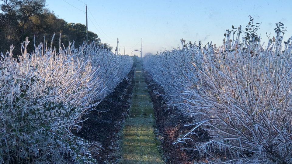 USDA Declares Natural Disaster Areas in Wake of Wicked Winter Blasts