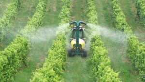 Upgrades to Vineyard Equipment Means More Gains for Growers