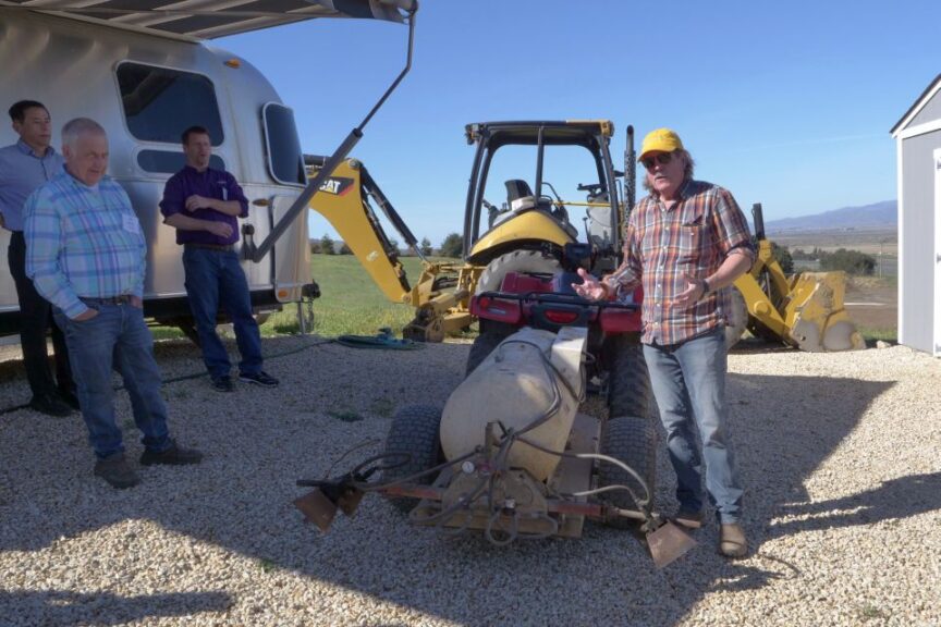 A reliable weed control? Fire