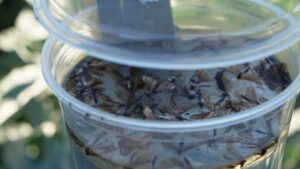 Biocontrol on a Roll! Field Tour Gives Firsthand Look at Unique Crop Solutions