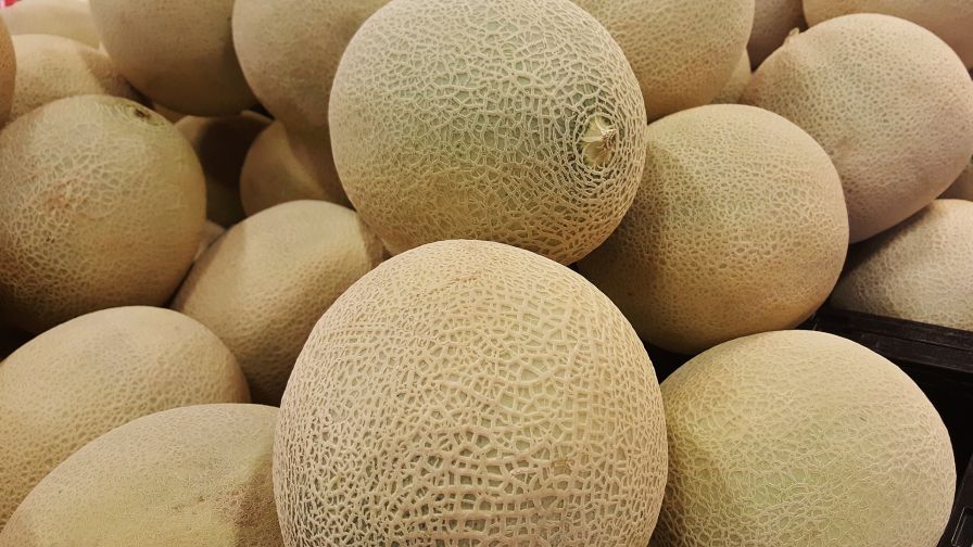 12. Cantaloupe (Clean)
