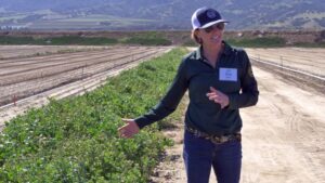 Biocontrol Ideas for Vegetable Production