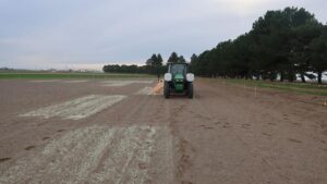 Pick the Right Forms of Sulphur To Improve Plant Health
