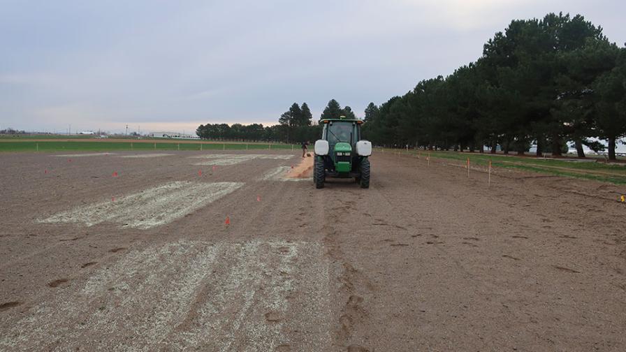 Pick the Right Forms of Sulphur To Improve Plant Health
