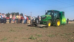 Unique Way to Take Charge of Weed Control in Hazelnut Crops