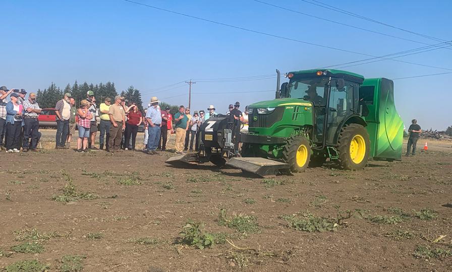 Unique Way to Take Charge of Weed Control in Hazelnut Crops