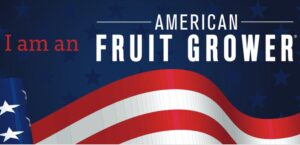 I am an American Fruit Grower bumper sticker