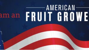 Honk If You Are an American Fruit Grower