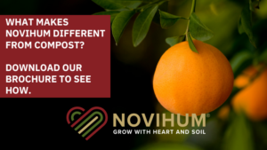 On soils low in organic matter, adding humus is essential for resilient groves and lasting productivity