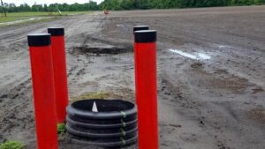 These 5 Northeast Florida Farm Projects Are Set To Save the Environment