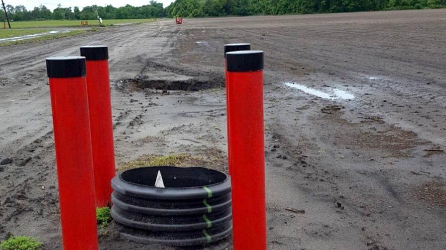 These 5 Northeast Florida Farm Projects Are Set To Save the Environment