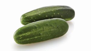 Citadel (Osborne Quality Seeds)