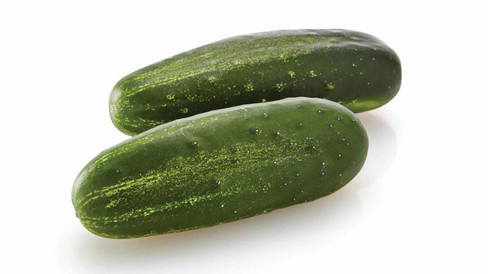 Citadel (Osborne Quality Seeds)