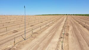New Irrigation Tech On Tap To Help Growers Feeling Drought Stress