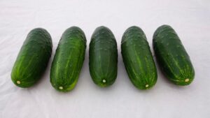 SuperMax (US Agriseeds, Rupp Seeds)