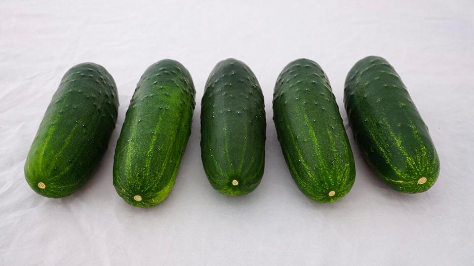 SuperMax (US Agriseeds, Rupp Seeds)