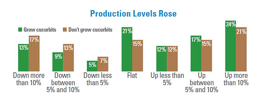2022 cucurbit SOI production graphic