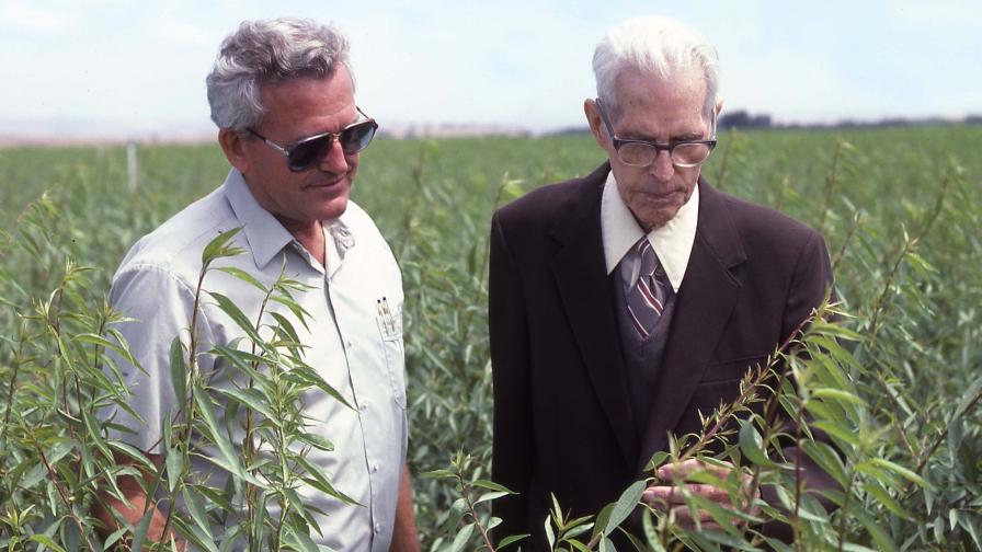 Bill and Irvin Burchell in the nursery 1987