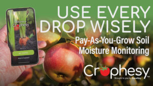 Monitor and Manage Soil Salinity to Ensure Fruit and Nut Crops Get Enough Water