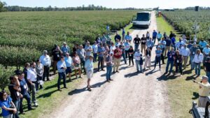 Here Are the New Appointees to the U.S. Highbush Blueberry Council