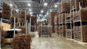 Negotiating the Supply Chain To Find Solutions for Fruit Nurseries
