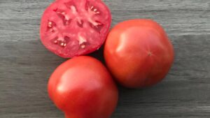 Rubee Goddess (Sakata Seed America, Osborne Quality Seeds)