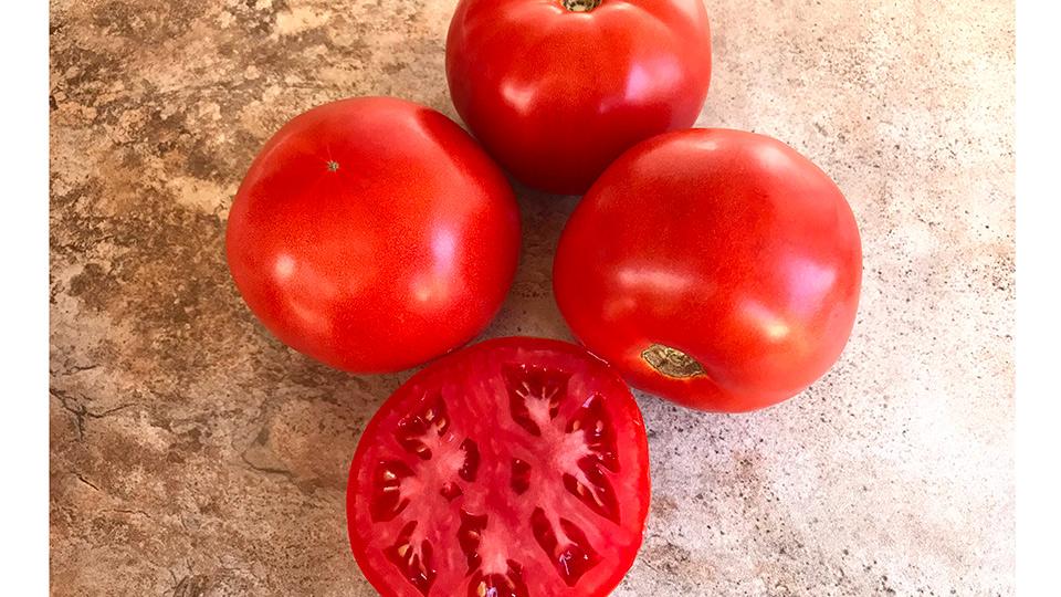STM2255 (Sakata Seed America, Rupp Seeds)