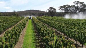 Big Growth on the Horizon for Global Agrochemicals Market