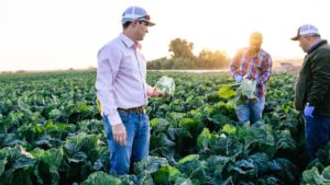 How Duda Farm Fresh Foods Makes Reducing Waste a Priority