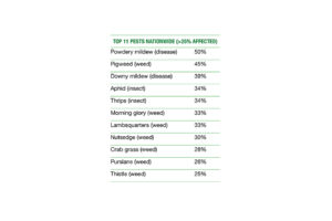 Top 11 Pests Nationwide