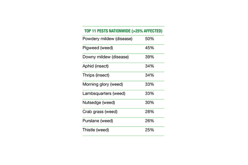 Top 11 Pests Nationwide