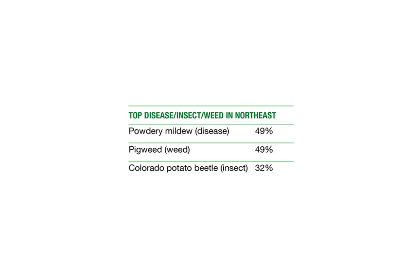 Top Northeast Pests