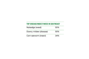 Top Southeast Pests