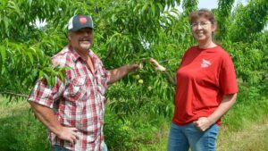 Secrets To Success of Growing Peaches in Ohio