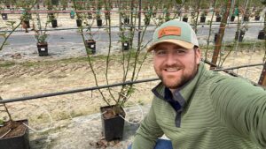 Fertigation in Substrate: Doing it Right  for Berries