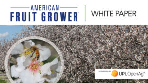 Download the 2022 State of the Fruit and Nut Industry Whitepaper