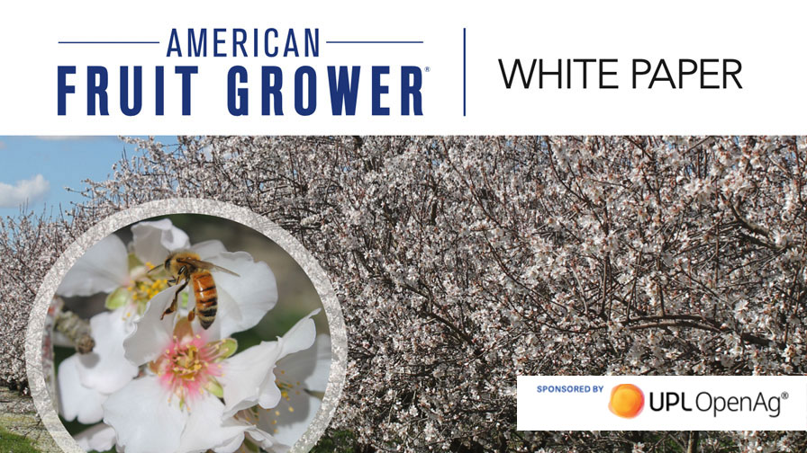 Download the 2022 State of the Fruit and Nut Industry Whitepaper