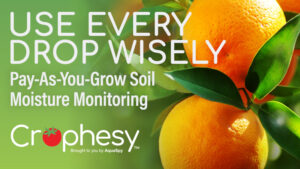 Are your crops absorbing sufficient water? Here’s how to avoid salt toxicity.