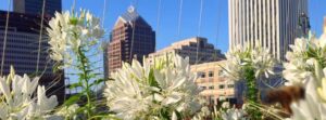 16. Rochester, NY