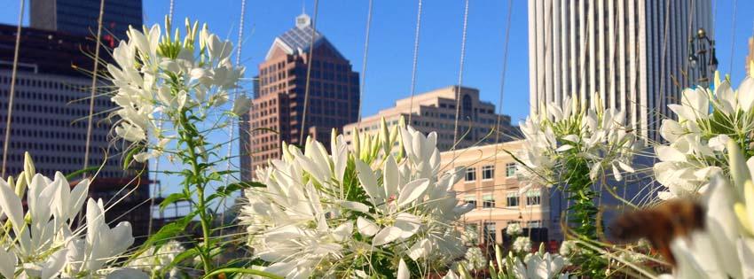 16. Rochester, NY