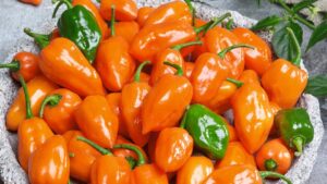 Cienfuegos Orange (Seeds by Design)