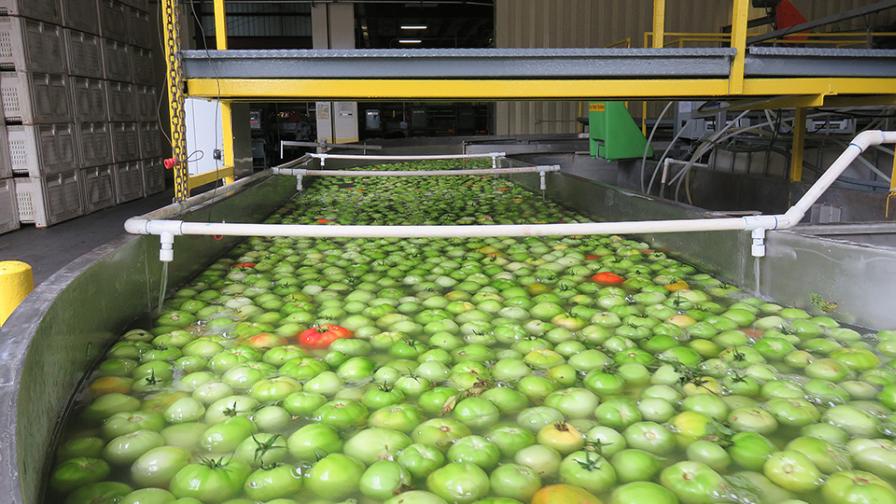 Postharvest water reuse example