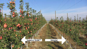 TELONE™ Sets You Up for a Successful Season by Targeting Destructive Nematodes