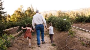 How Fall Creek Nursery Grew Into a Modern American Success Story