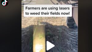 Watch This! Laser Beams Aim New Light on Weed Control in Farm Fields