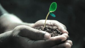 Probing the State of Plant Health in Today’s Ag Environment